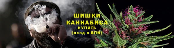 прущие крисы Гусев