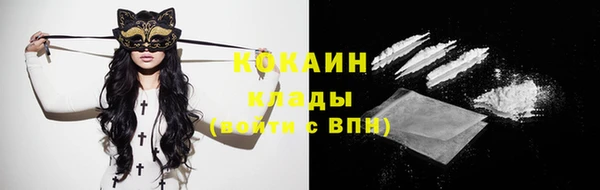 прущие крисы Гусев