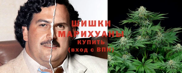 не бодяженный Горно-Алтайск