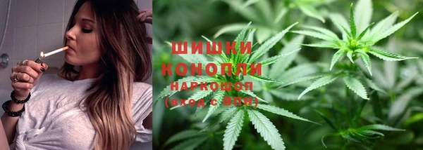 прущие крисы Гусев