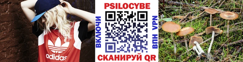 Купить где  Никольск  Галлюциногенные грибы GOLDEN TEACHER 
